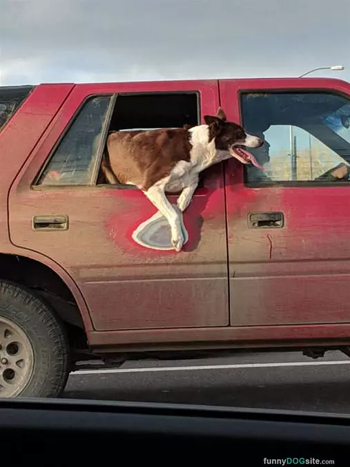 Getting Out For Some Air