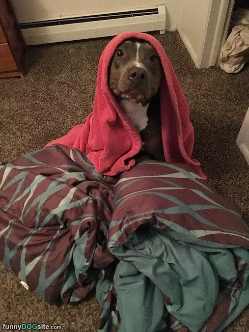 Use The Force