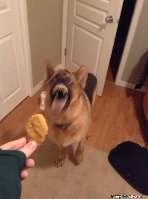 I Want Nuggets