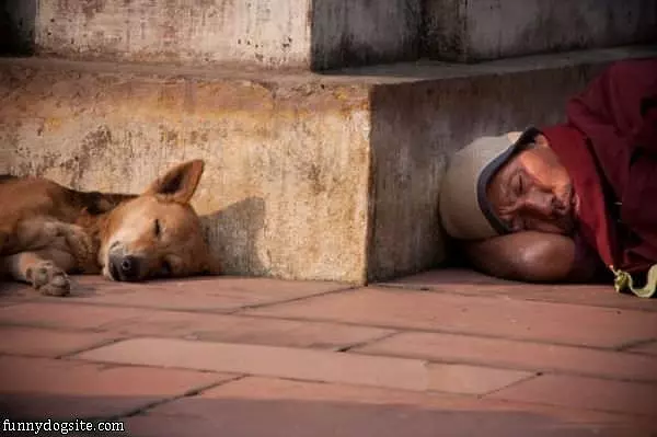 Sleeping Together