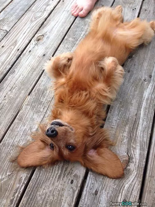 Chillin On My Back