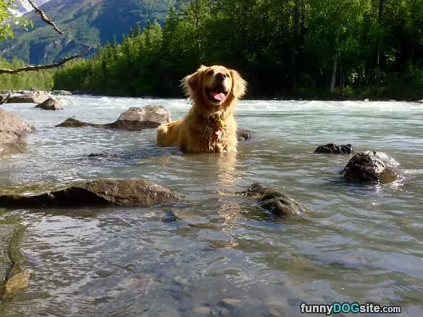 The Great Outdoors