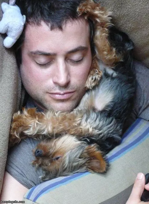 Puppy Sleep