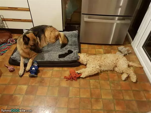 We Are Sleeping