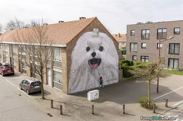 A Happy Neighborhood