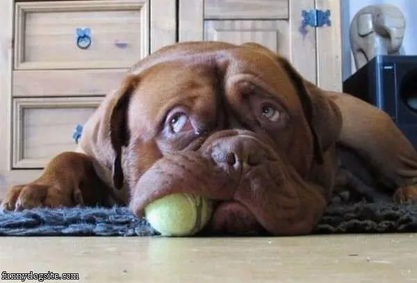 My Ball