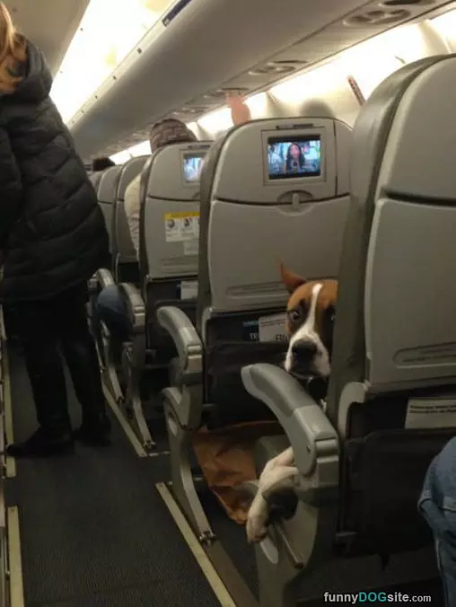 Plane Ride