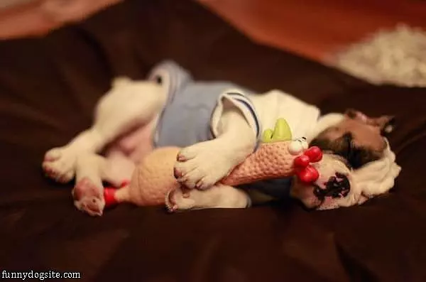 Sweet Dreams