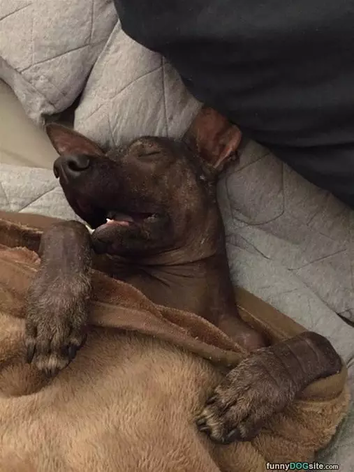 So Very Passed Out