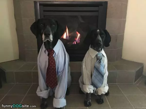 Ready For Work