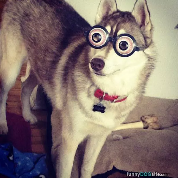 Crazy Glasses