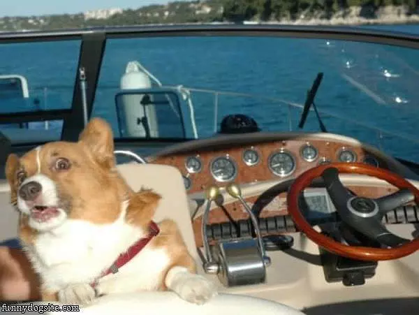 Fun Boat Ride