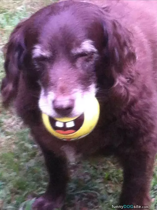 Nice Big Teeth
