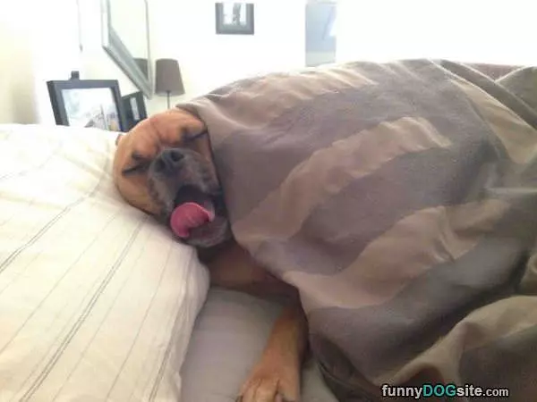 Dont Wake Me