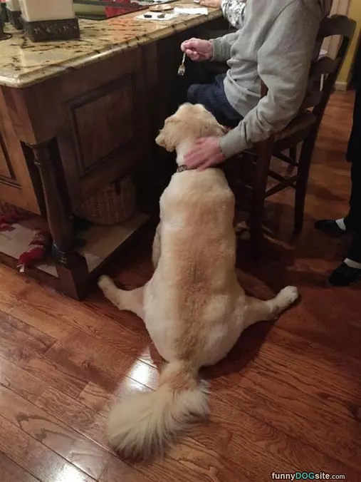 I Want My Snacks
