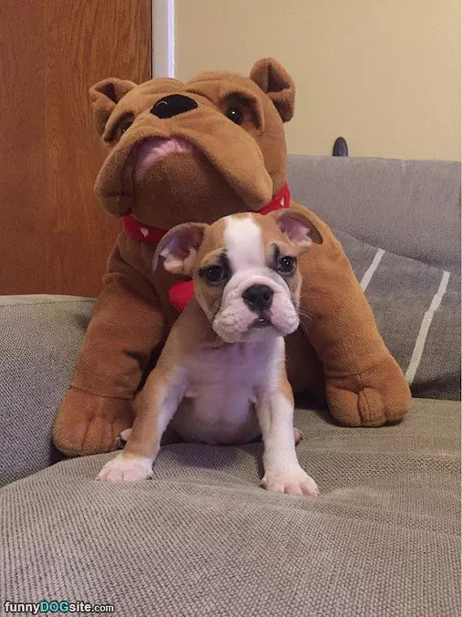 It Looks Just Like Me