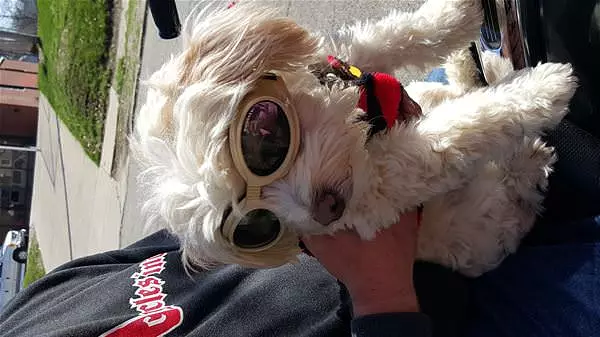 Biker Skippy