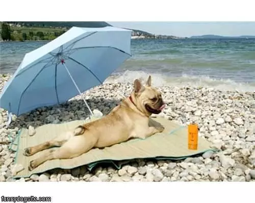 Tanning