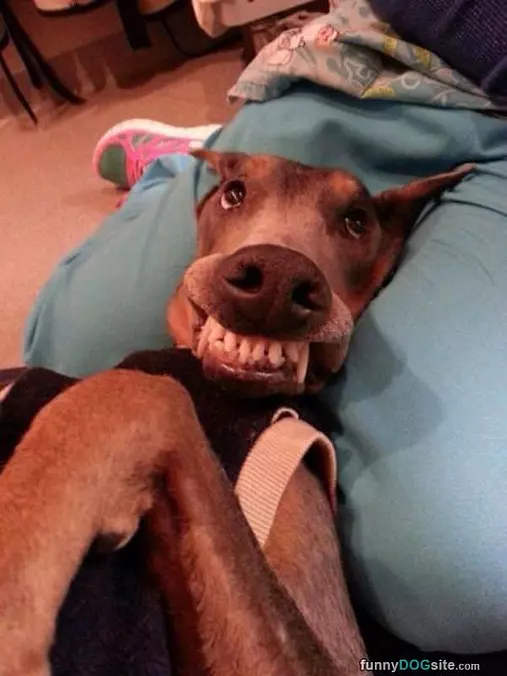Nice Smile