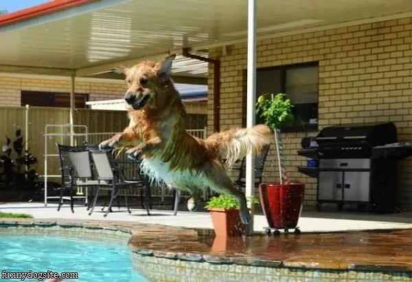 The Long Jump