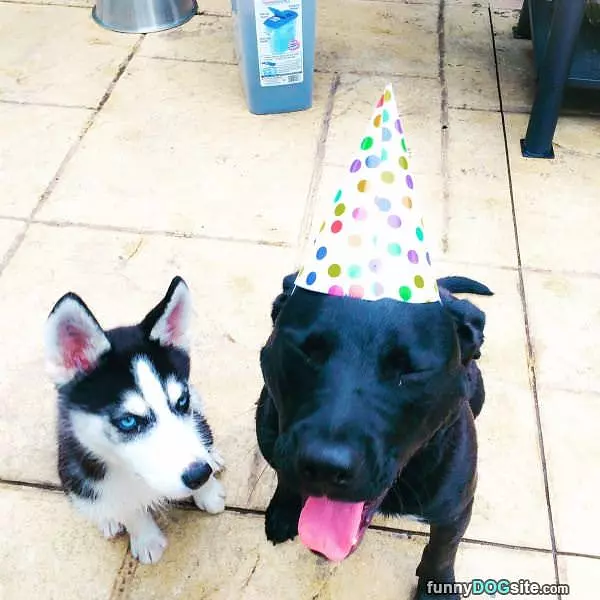 Its Mah Birthday