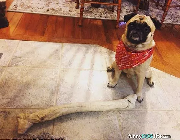 Fetch Time