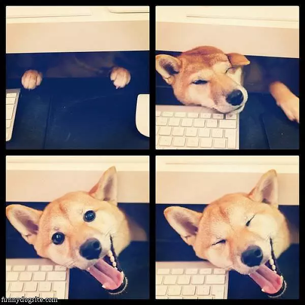 Oh Hi There