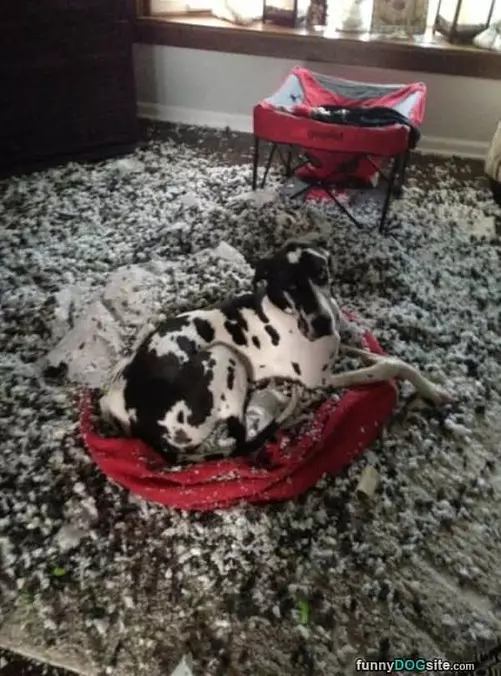 Made A Little Mess