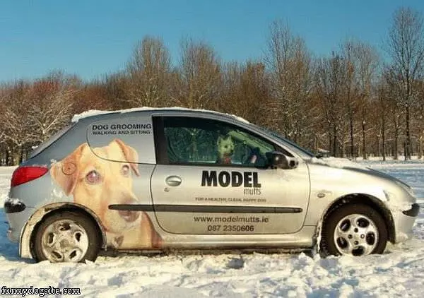 Model Muffs