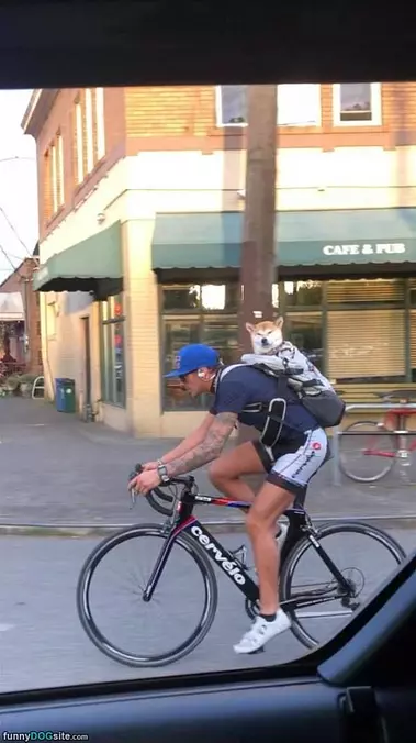 I Love Long Bike Rides