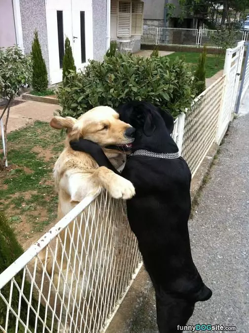 Hugging It Out Here