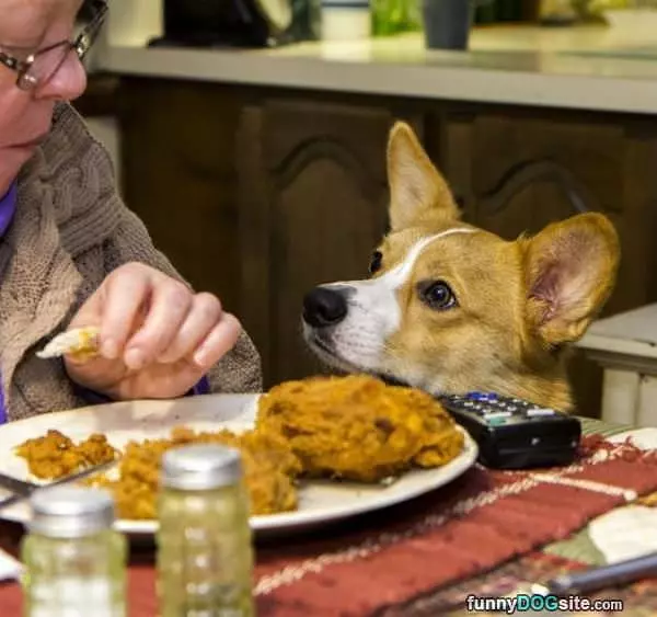 Cmon Just One Bite