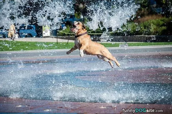 Jump For It