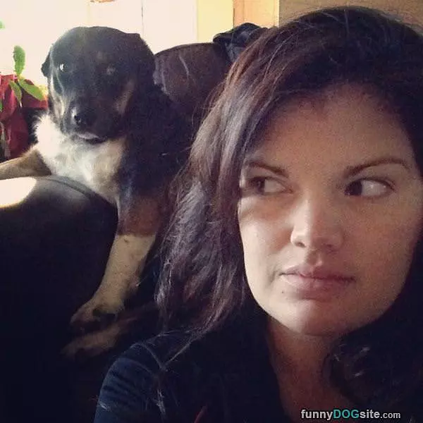 Suspicious