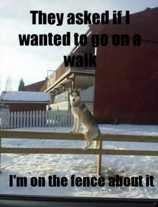 On A Walk