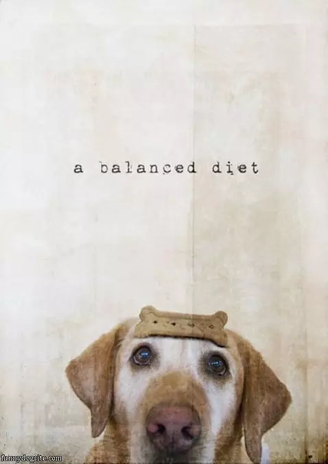 Balanced Diet