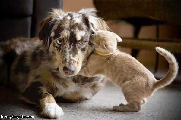 Tell You A Secret