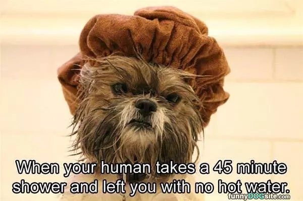 Left With No Hot Water