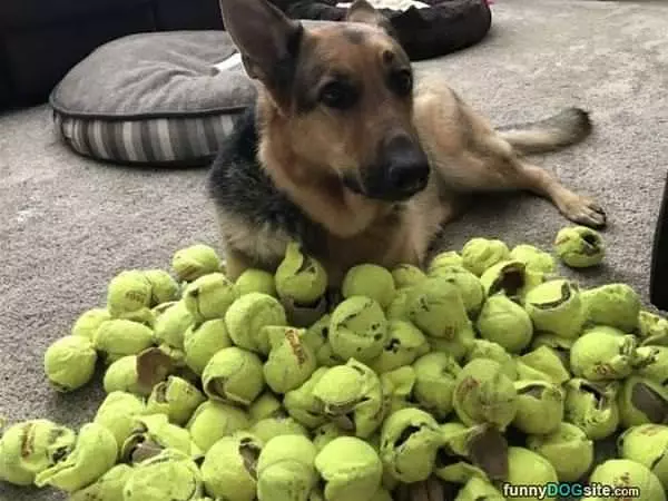 I Pop Them All