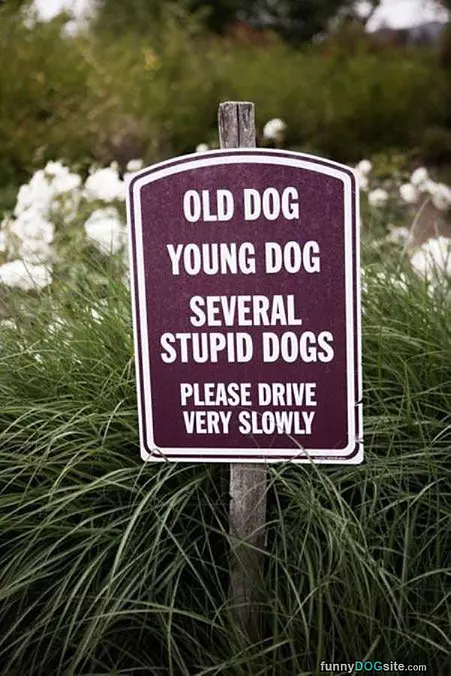 Please Drive Slowly