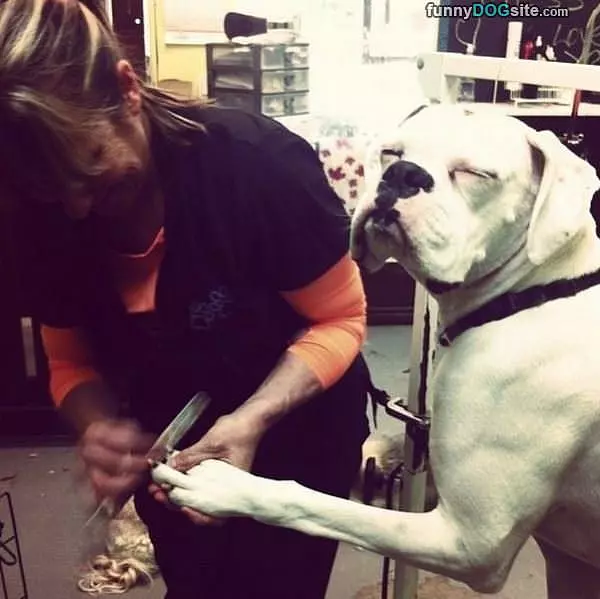 Getting My Nails Done