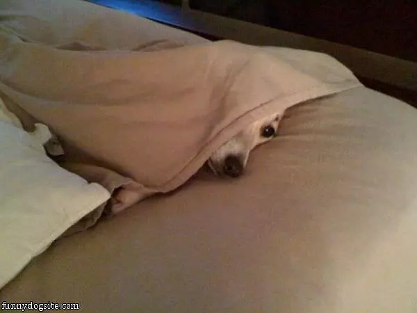 I Dont Want To Get Up