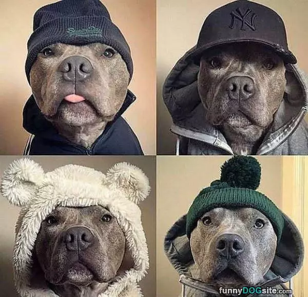 Different Styles