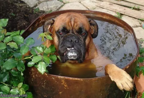 This Bath Makes Me Angry