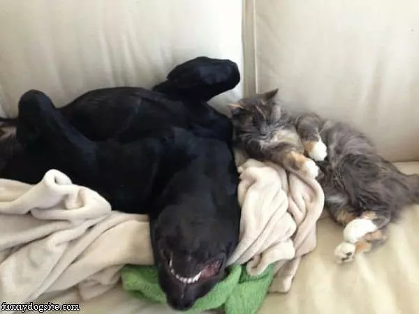 How We Sleep Together