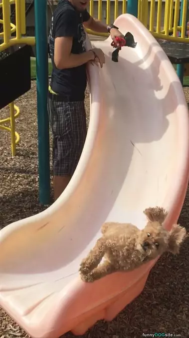 Down The Slide