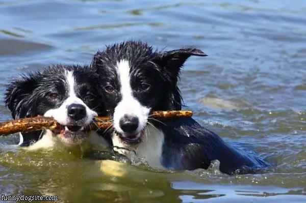 Double Fetch