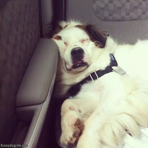 Sleep Where I Wants
