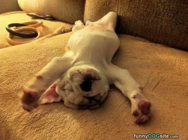So So Sleepy