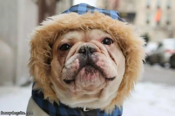 My Hat Is Warm